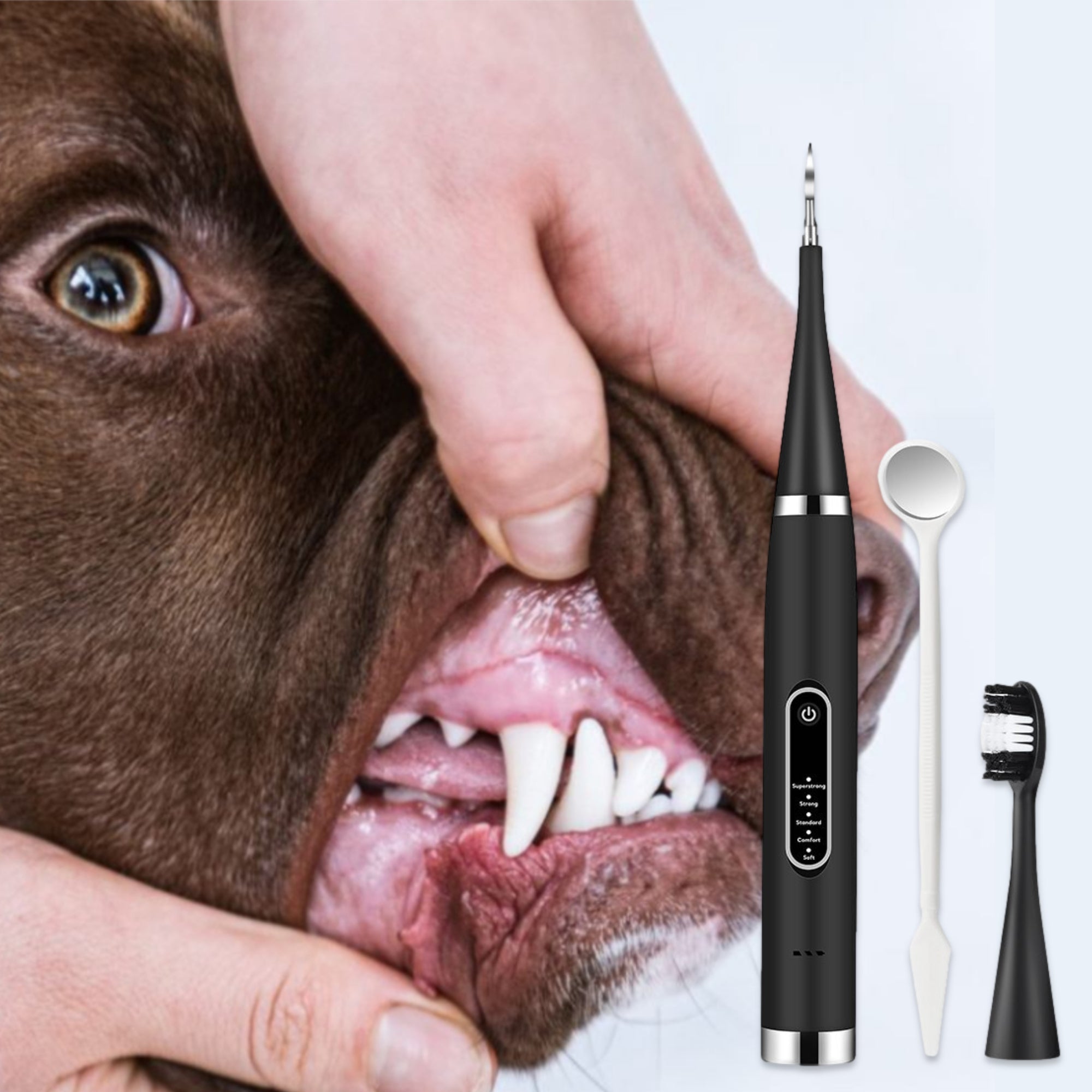 Canident - Skaler dentystyczny dla psów